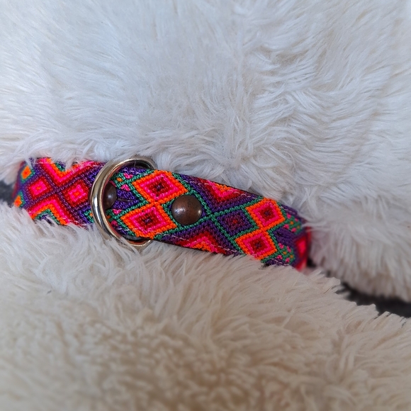 New Dog Collar - Picture 1 of 7